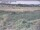 Webcam in Nieuwvliet-Bad, 11.5 km