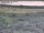 Webcam in Nieuwvliet-Bad, 12.5 km