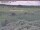 Webcam in Nieuwvliet-Bad, 5.5 mi away