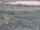 Webcam in Nieuwvliet-Bad, 10.2 km