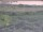 Webcam in Nieuwvliet-Bad, 16.7 km