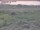 Webcam in Nieuwvliet-Bad, 20.1 km