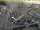 Webcam in Den Helder, 1.4 km