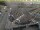 Webcam in Den Helder, 1.5 mi away