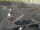 Webcam in Den Helder, 17.3 mi away