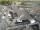 Webcam in Den Helder, 1.2 km entfernt