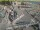 Webcam in Den Helder, 0.6 mi away