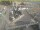 Webcam in Den Helder, 13.5 km