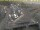 Webcam in Den Helder, 1.4 km