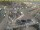 Webcam in Den Helder, 13.5 km