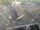 Webcam in Den Helder, 0.6 mi away