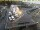 Webcam in Den Helder, 5.9 mi away