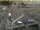 Webcam in Den Helder, 1.8 mi away