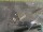 Webcam in Den Helder, 5.9 mi away