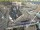 Webcam in Den Helder, 5.9 mi away
