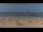 Webcam in Callantsoog, 5.5 mi away