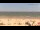 Webcam in Blankenberge, 5.3 mi away
