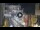 Webcam in Rom, 0 km