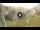 Webcam in Lavarone, 1.8 mi away