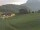 Webcam in Waidring, 3 mi away