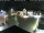 Webcam in Gerlingen, 7.3 mi away