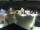 Webcam in Gerlingen, 2.3 mi away