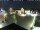 Webcam in Gerlingen, 7.1 mi away