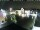 Webcam in Gerlingen, 16.5 km entfernt