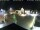 Webcam in Gerlingen, 6.4 mi away