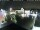 Webcam in Gerlingen, 6.4 mi away