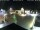 Webcam in Gerlingen, 1.7 mi away