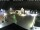 Webcam in Gerlingen, 4.8 mi away