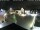 Webcam in Gerlingen, 10.9 mi away