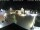 Webcam in Gerlingen, 5.6 mi away