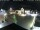 Webcam in Gerlingen, 5 mi away