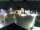 Webcam in Gerlingen, 7.1 mi away
