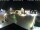Webcam in Gerlingen, 3.4 mi away