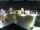 Webcam in Gerlingen, 7.1 mi away