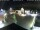 Webcam in Gerlingen, 7.1 mi away