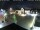 Webcam in Gerlingen, 18.3 km