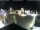Webcam in Gerlingen, 4.1 mi away