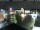 Webcam in Gerlingen, 4.1 km