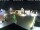 Webcam in Gerlingen, 7.1 mi away