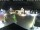 Webcam in Gerlingen, 7.3 mi away