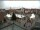 Webcam in Gerlingen, 5.1 mi away