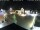 Webcam in Gerlingen, 10.9 mi away