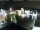 Webcam in Gerlingen, 12.5 km