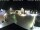 Webcam in Gerlingen, 1.1 mi away