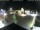 Webcam in Gerlingen, 10.3 mi away