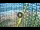 Webcam in Ballito, 0.1 mi away